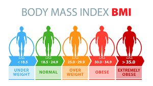 body mass
